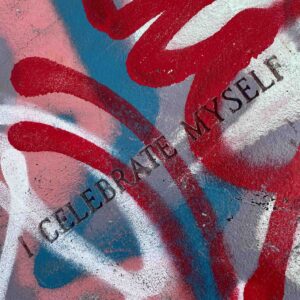 Photo of a graffiti-covered stone with the words "I CELEBRATE MYSELF" etched into it